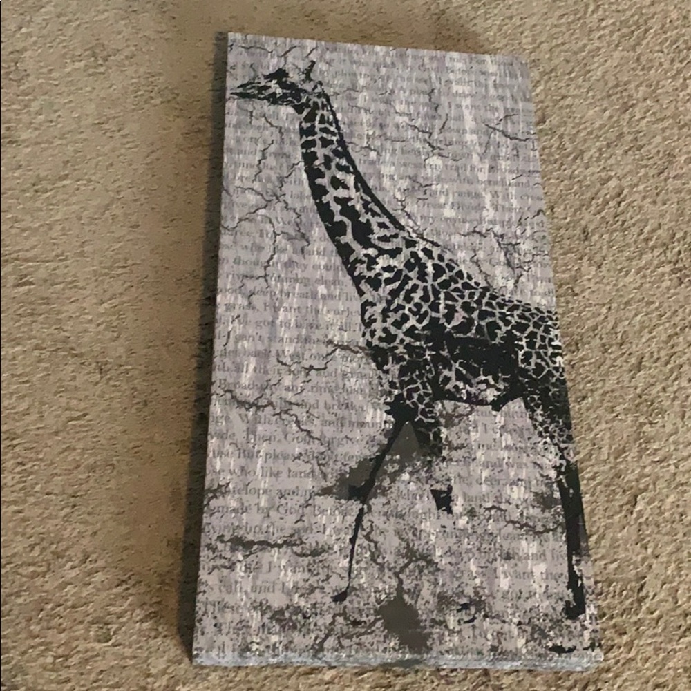 Canvas art 12x 24”